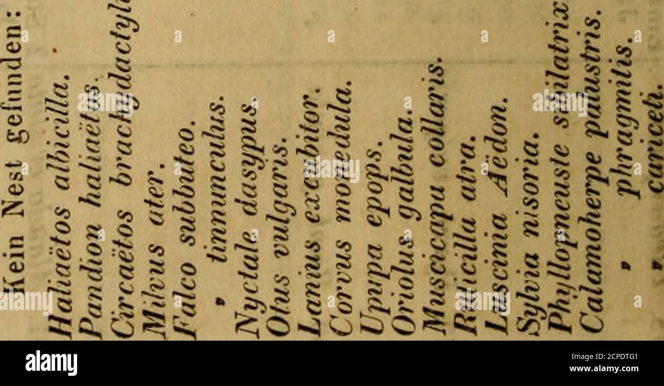 . Journal für Ornithologie . 5CS015C«:)Oi«ir Ä ^ ;^ ^^ ^ P ;j ^ ^S s « ^^5 :>s;cs 5^s ^ t*:i =0^ • • Jö ^^ • «0 • «0 • §• . s 2| §■5 yrachlorhas ^is^e ^ o S^S -? S ä t« „ ® ^ i« s - a - »-..v 2 -c ft 5 S K =, R S S ^ o OJC c^ c2 EC ci ^ f5 ö ^ ^ C* CO e^ i «^ i CO C<l i c • . e i. <■ ^ .^■5 S ^ ^ ^ ^ s cÄ« c, ^ H: !* S  S s -^ P « • 2 s: v^ «j 5 £■ •^ -5 ^ ^ r^S S -^ 5 5- •^C^ CS C-1 CO ■^ -- o  »1 c  . ^5 ^ ■< ■-? 2 S 5 ^. Foto Stock