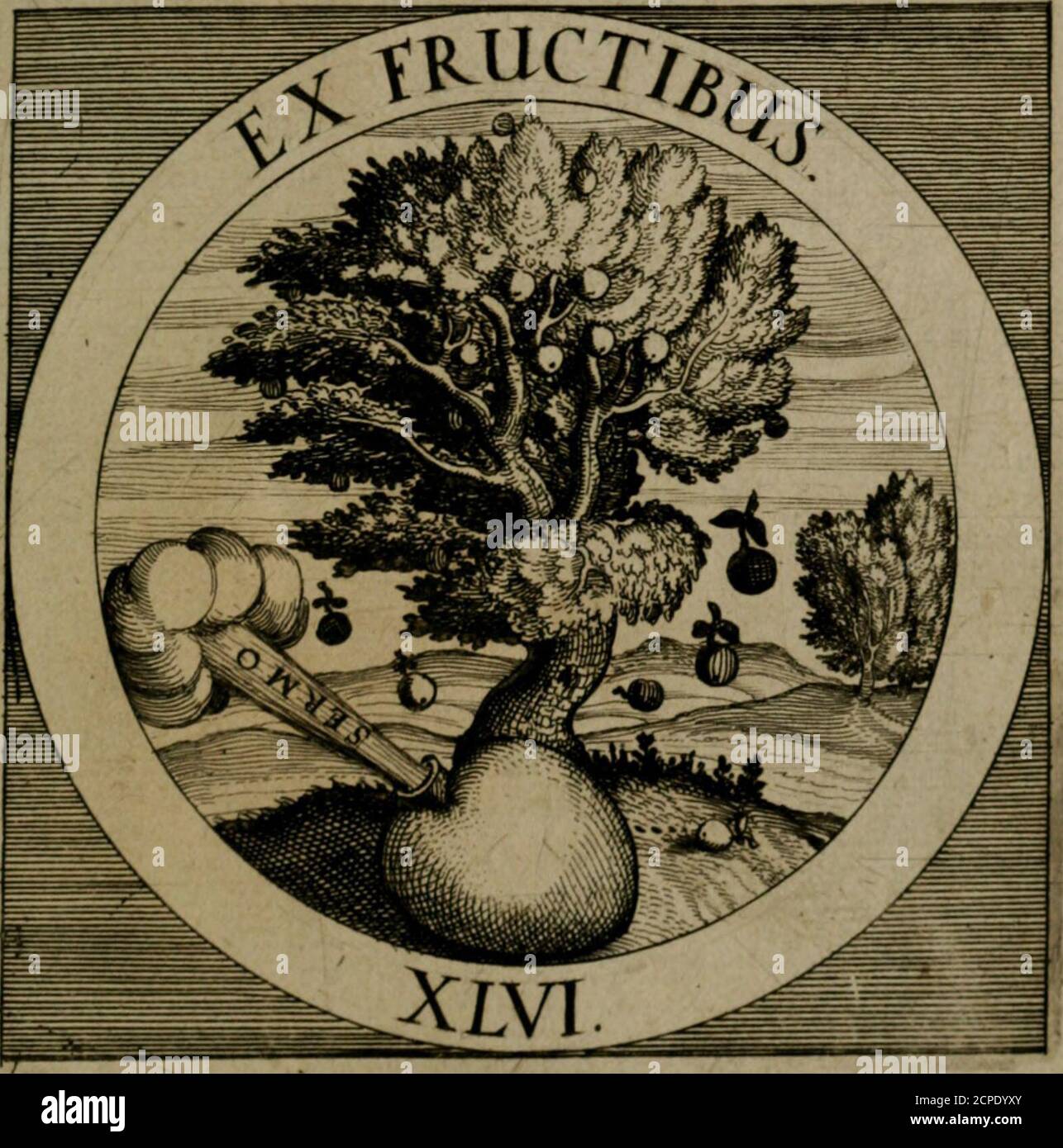 . Emblemata sacra : hoc est, decadi chinque emblematum ex sacra scriptura, de dulcissimo nomine & cruce Jesu Christi, figuris aeneis incisorum ... . itiir cordis fenfä interiora probenrur Sermone aut lingual convenicnte fonte ? ^je o«»^ t&gt;ff5 Jensens 5?ci)mtil)i:cit;Diuc^ß 9vet)en bringt ()cii?or.CC3ic nun bie (5t&gt;ancfcn finDt bcvcit/ 00 Hincjts aucl^ t)o 0cm o^r. Sjr.27.7-Comme le frui6t monftre fi Tarbre a efte cultive:ainfi la parolle monflie ce que Thom-me a au coeur. Comme dufruiä on cognoifl U culmre De l arbre, ainfi da coeur on von la condttton Tar la paroüe^qulfelon la nature Foto Stock