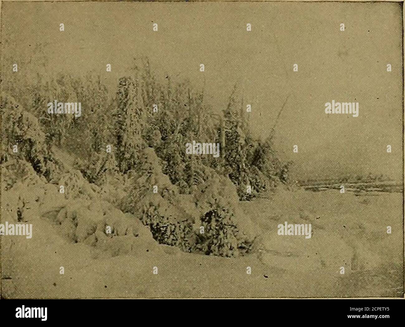 . Il mondo letterario di Shepp: Contiene la vita dei nostri noti autori americani e inglesi preferiti. Insieme alle selezioni di scelta dai loro scritti . IL VECCHIO MULINO Country attrazioni e suoni 305. DOPO UNA PIOGGIA DI NEVE-TEMPESTA solitudine e silenzio. Veniamo a conoscere noi stessi ed il mondo malano i sensi più profondi onlj quando siamo oltre alla corsa delle cose. È solo quando il traffico cessa e la polvere è posata che il paesaggio diventa chiaro e completo per il pedone. La quiete dei boschi, la fresca nota dei torrenti montani, il silenzio delle cime, rappresentano, non i lussi e i piaceri Foto Stock