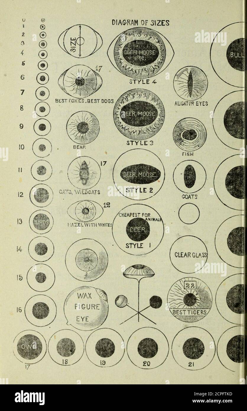 . Il naturalista Hoosier . possibilità di garantire la tnegreatest invenzione del secolo, 1 uta d§0 centesimi d'argento o francobolli, per grandi-38 pagine libro illustrativo v ith particu-lars completo e foto campione. C'è una fortunein IT Indirizzo The SCHULTZE, Photo Equip-, 5 Chatham Square, New York. Manuale di .it Co 1 principianti. Per posta per lOcen; -K.B. TKol-TOT. Val SSboUsaU Spcalrrrs in- PELLI DI UCCELLI ft. UOVA| Invia per il listino prezzi. Corrispondenza così licenziata con altri collezionisti. WITflnaT A TE&EKER COMPRENDENTE j UN manuale di istruzioni CcmpiEtE PER IUELARINI; ASI» UCCELLI CONSERVANTI, AM MAES AM) PESCI j UN CHAPT Foto Stock