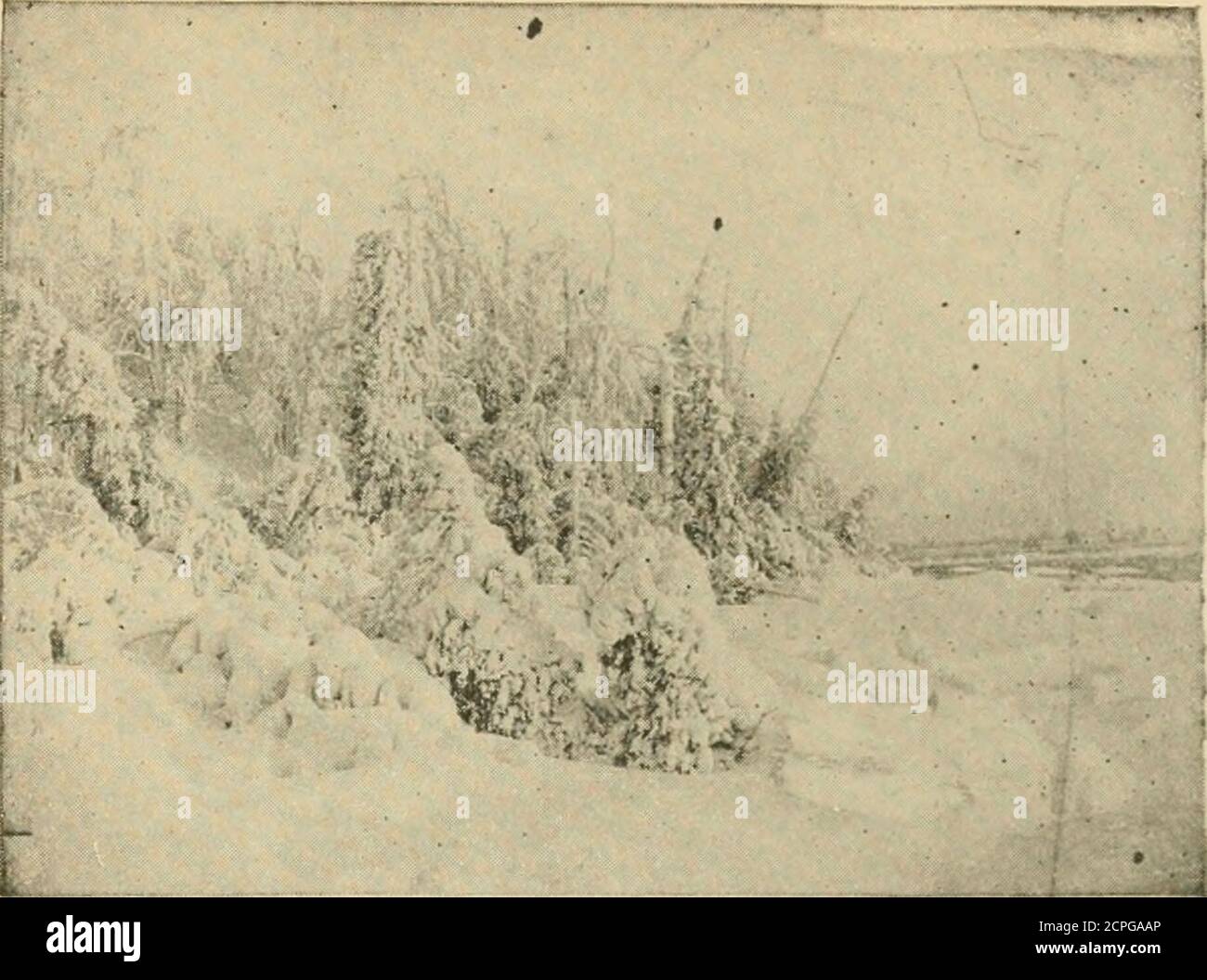 . Belle gemme dagli scrittori americani e le vite e i ritratti dei nostri autori preferiti . THK ANTICO MULINO Country attrazioni e suoni 305. Solitudine e silenzio. Veniamo a conoscere noi stessi e il mondo i.i i sensi più profondi soltanto quando siamo oltre alla corsa delle cose. È solo quando il traffico cessa e la polvere è posata che il paesaggio diventa chiaro e completo per il pedone. La quiete dei boschi, la fresca nota dei torrenti montani, il silenzio delle cime, rappresentano, non i lussi e i piaceri di una vita ricca, ma le sue necessità. Al cittadino questi outly- dopo una neve bagnata- Foto Stock