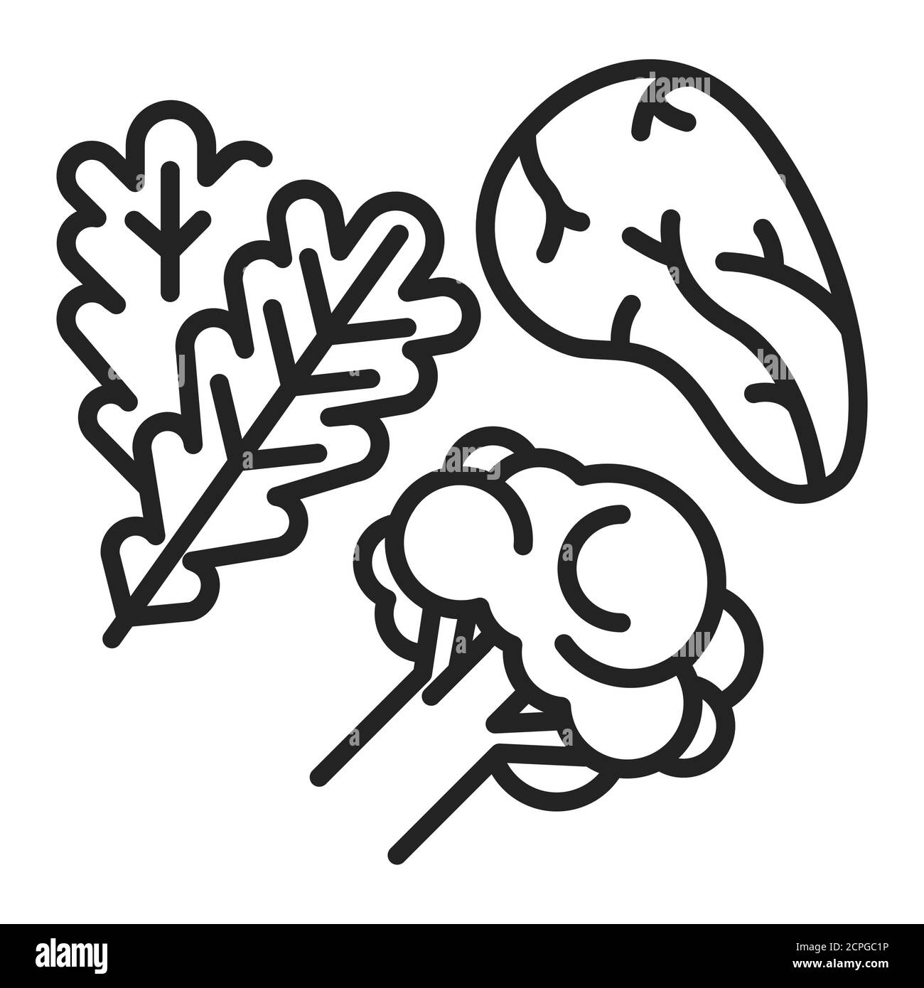 Icona della linea nera dei carbs bassi. Limita i carboidrati come quelli trovati in grani, verdure amidacee e frutta. Pittogramma per pagina web, app mobile, promo Illustrazione Vettoriale