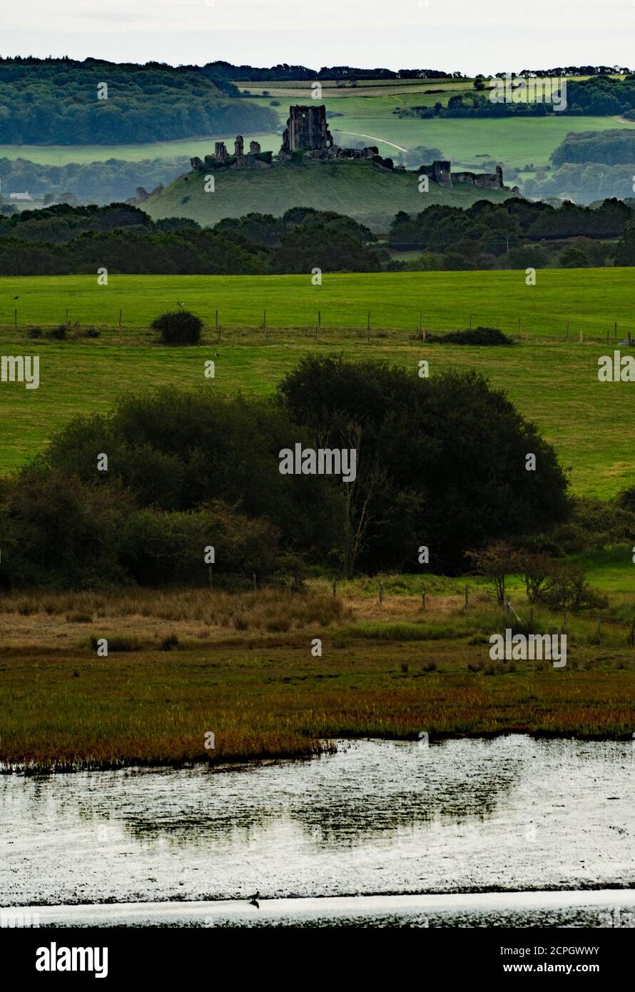 Corfe Castle da Arne Foto Stock