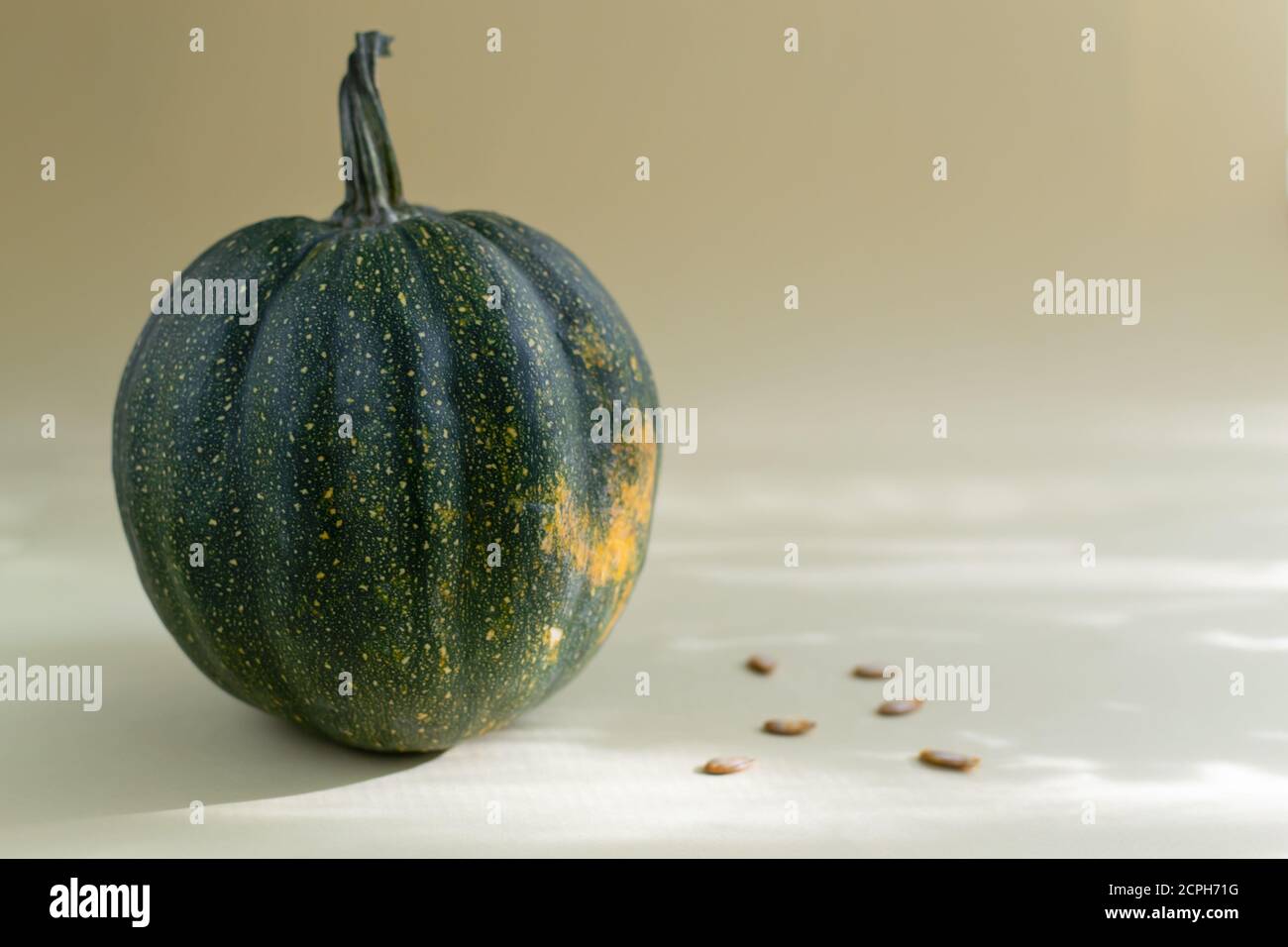 Zucca di colore verde con puntini gialli e semi su sfondo giallo. Spazio di copia. Messa a fuoco selettiva. Foto Stock