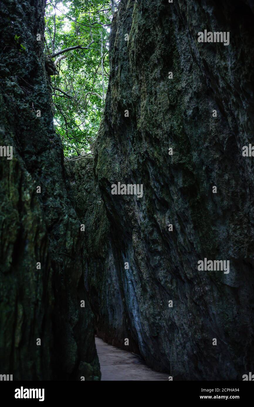 Crevice nella zona ricreativa della foresta nazionale di Kenting Foto Stock