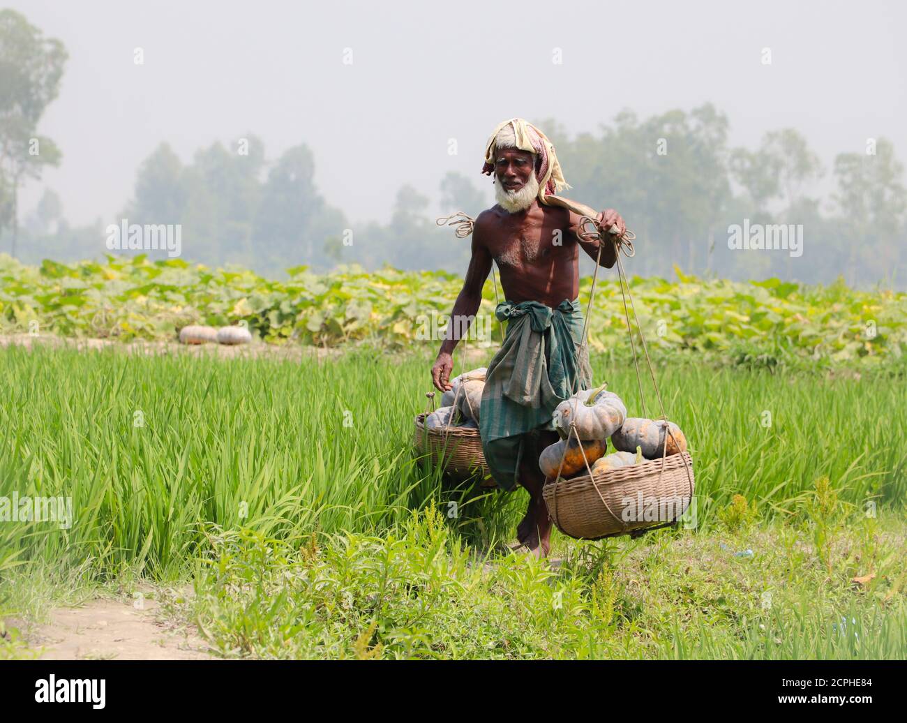 Coltivatore asiatico che trasporta le verdure (zucche) con cestino dopo la raccolta da campo Foto Stock