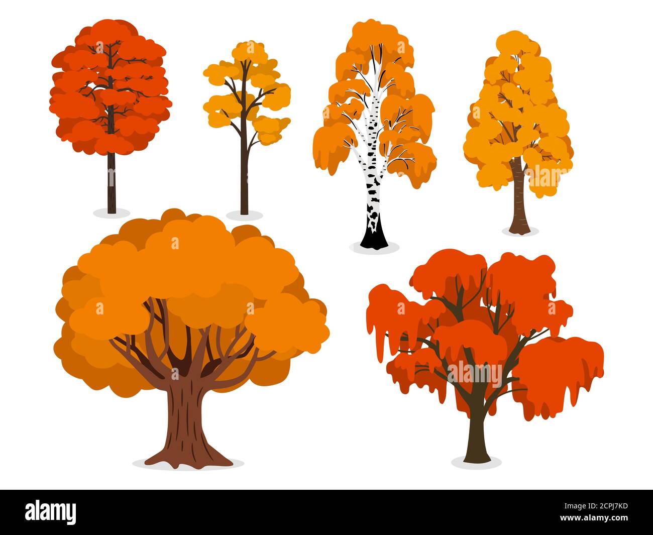 Alberi di foresta gialli, arancioni e rossi isolati su sfondo bianco. Albero di legno con fogliame flora illustrazione Illustrazione Vettoriale