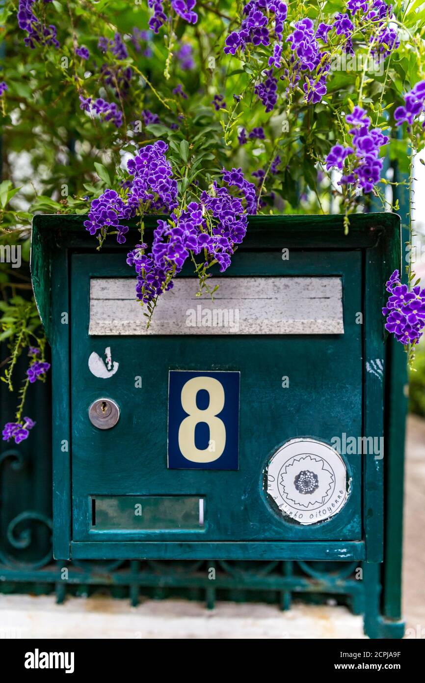 Mailbox, gelso, fiore di cielo, (Duranta erecta), Saint-Denis, Reunion Island, dipartimento francese d'oltremare, Oceano Indiano Foto Stock