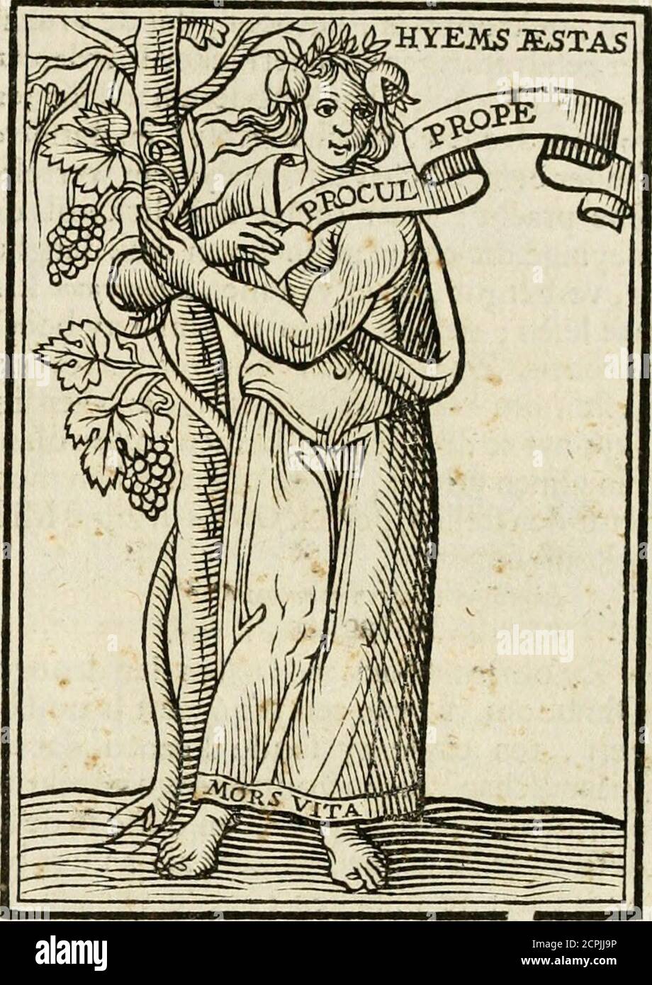 . Iconologia, of, Uytbeeldingen des verstanden : waer in verscheiden afbeeldingen van deughden, ondeughden, genegentheden, menschlijcke hertztochten, konsten, leeringen, sinlijckheden, elementen, hemelsche lichamen, landschen van handeren, verweren, kelen alle, verweren een werck dat dienstigh is, allen reedenaers, poëten, schilders, beeldhousers, teyckenaers, en alle andere konstbeminders en liefhebbers der geleertheyt en eerlijcke wetenschappen ... . – uomini niettrouw moet wefön voor een tijd, maer vooralle t Foto Stock