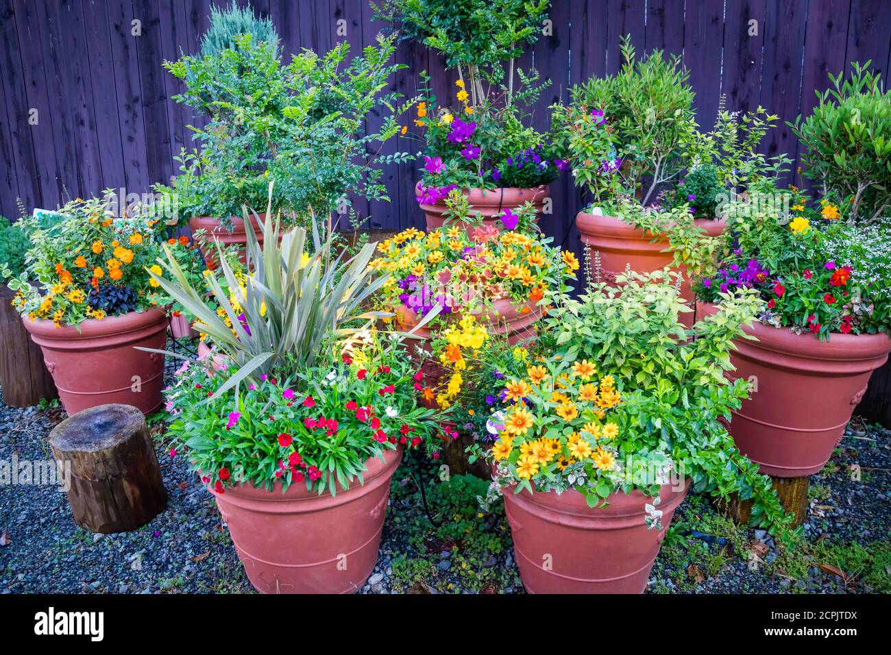 Raccolta di fiori colorati e piante ornamentali in pentole contro Il muro di legno ad un angolo della strada cittadina, Giappone Foto Stock