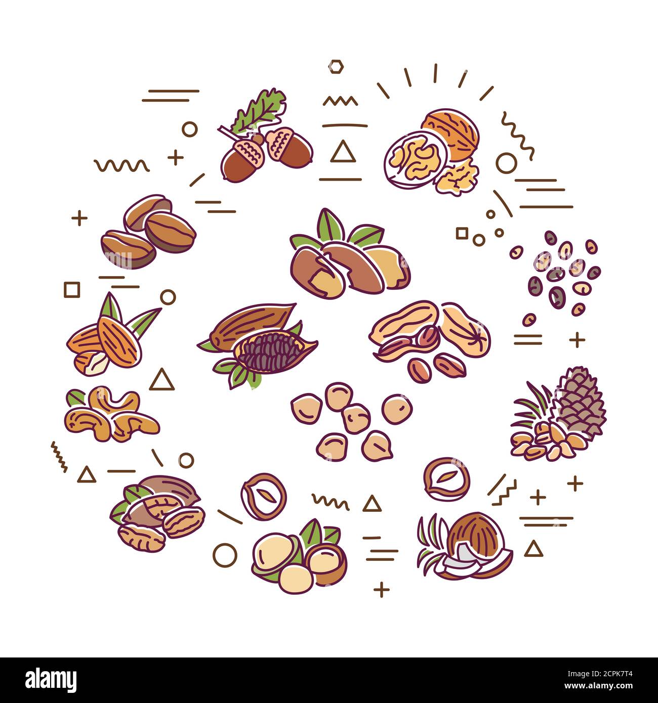 Banner Web con dadi e semi. Infografiche con icone lineari su sfondo bianco. Concetto di idea creativa. Illustrazione del colore del contorno isolato Foto Stock