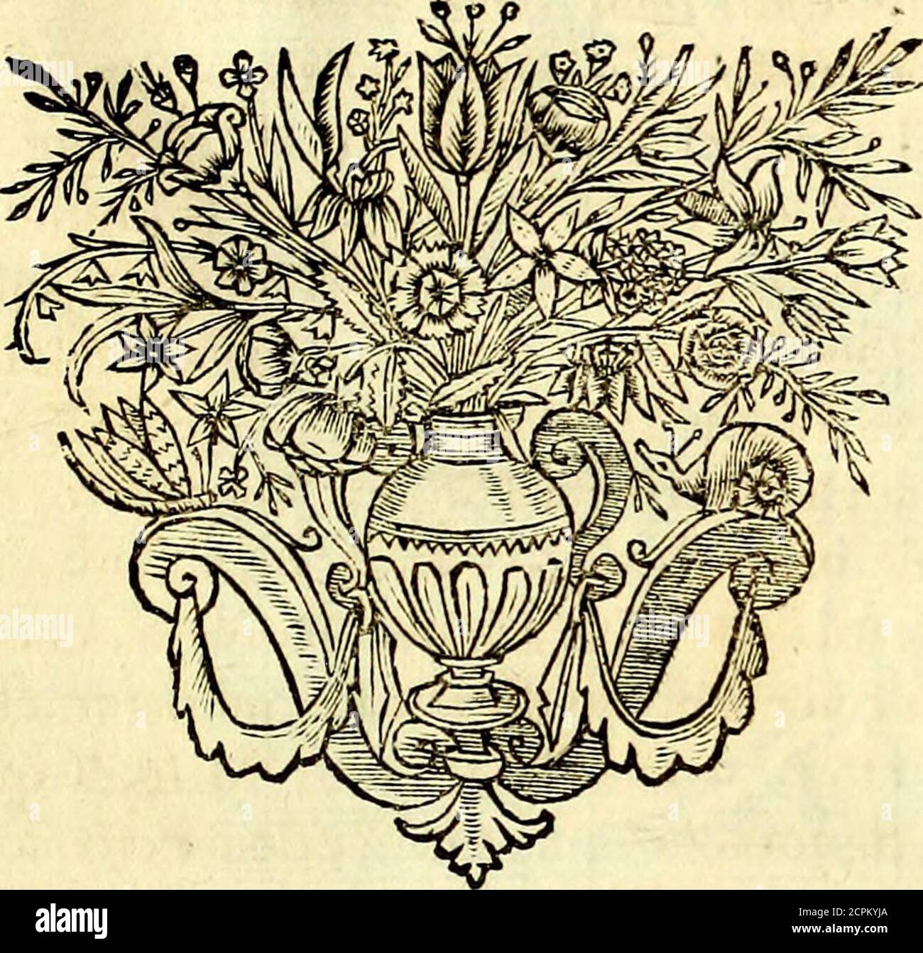 . Iconografia, cioè segni d'imagini de famosissimi monarchi, regi, filosofi, poeti ed oratori dell'antichità, cauati . oniare la_> medaglia come per Faccennate lettere fi notifica; Y efler pruo del Diadema ,e del titolo regio con_ fi. 1hiftoria, poiche fratelli di Filletero furono Eumene , e at- talo :diFumene,come maggiore,fuccefse nella Signoria il figliuolo col nome del Padre anch egli Eumene chiama- to,chedoppolafignoria di venti due anni morendoper- uenne al fiore di Fallamo. Quefti vinfe i Galati, e collegoili Strabon Foto Stock