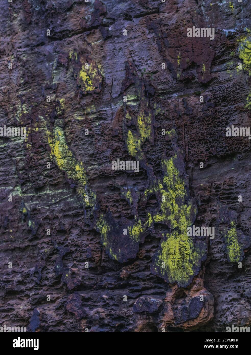 Struttura della roccia Foto Stock