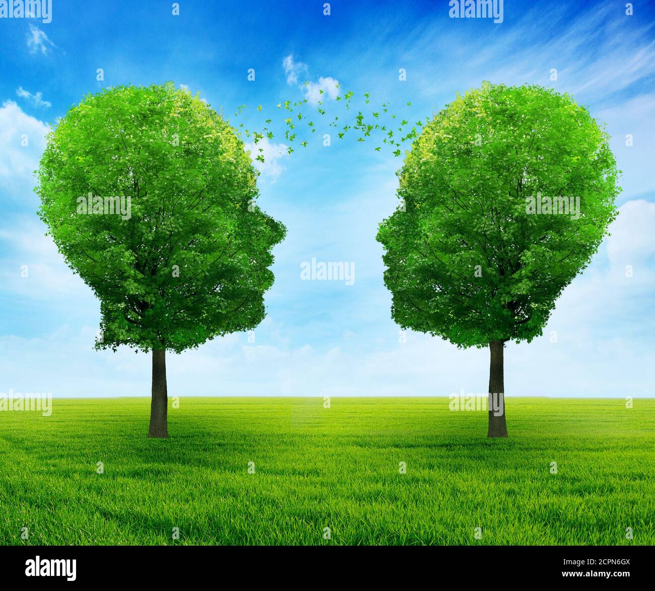 Business di crescita e comunicazione simbolo di partnership e lavoro di squadra finanziario con due alberi a forma di teste umane blu cielo sfondo growi Foto Stock