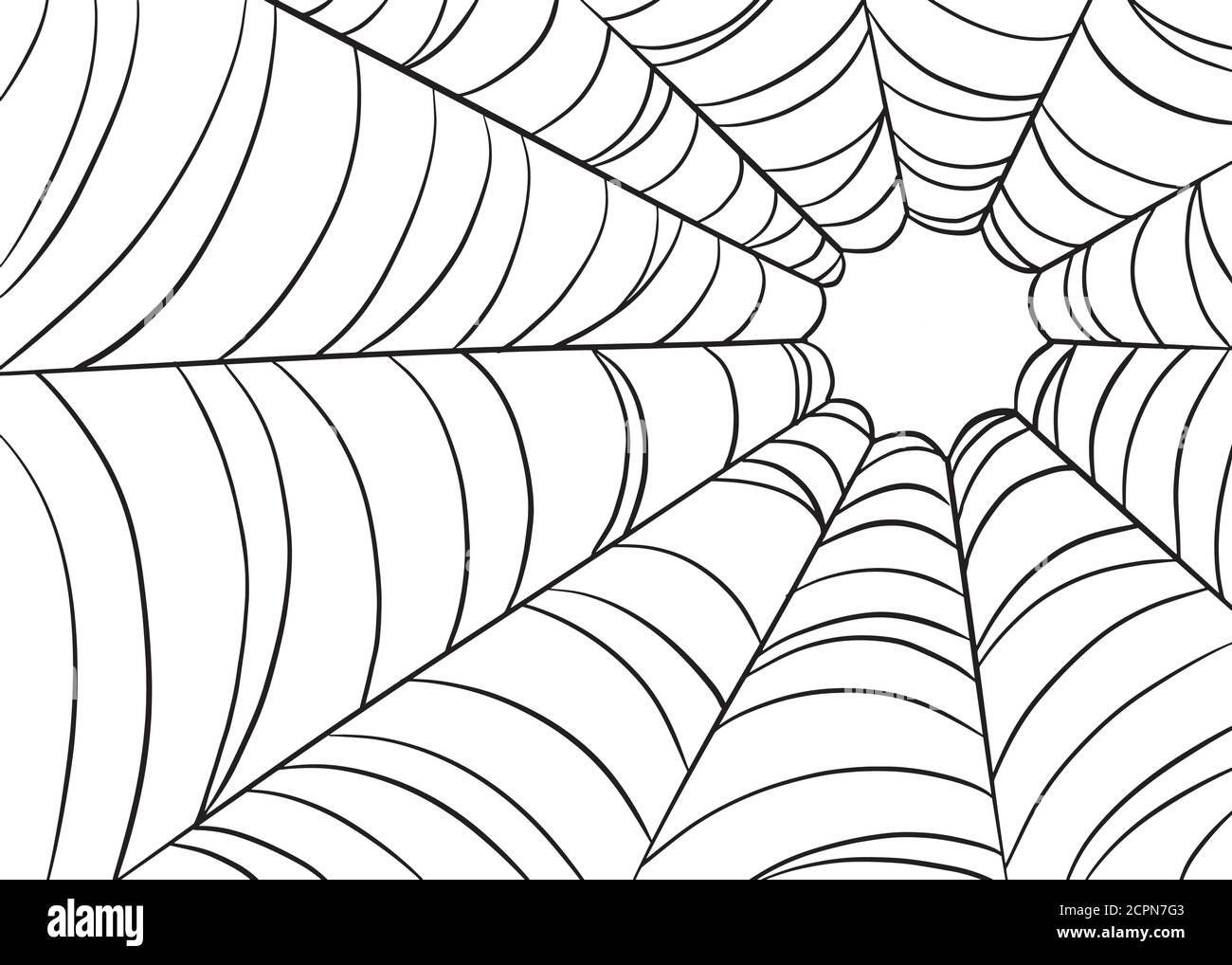 Illustrazione web Spider. Grafica in bianco e nero. Illustrazione vettoriale disegnata a mano. Per istruzione, riferimento, Halloween, eventi, carnevali, disegno di fotoricettore, Illustrazione Vettoriale