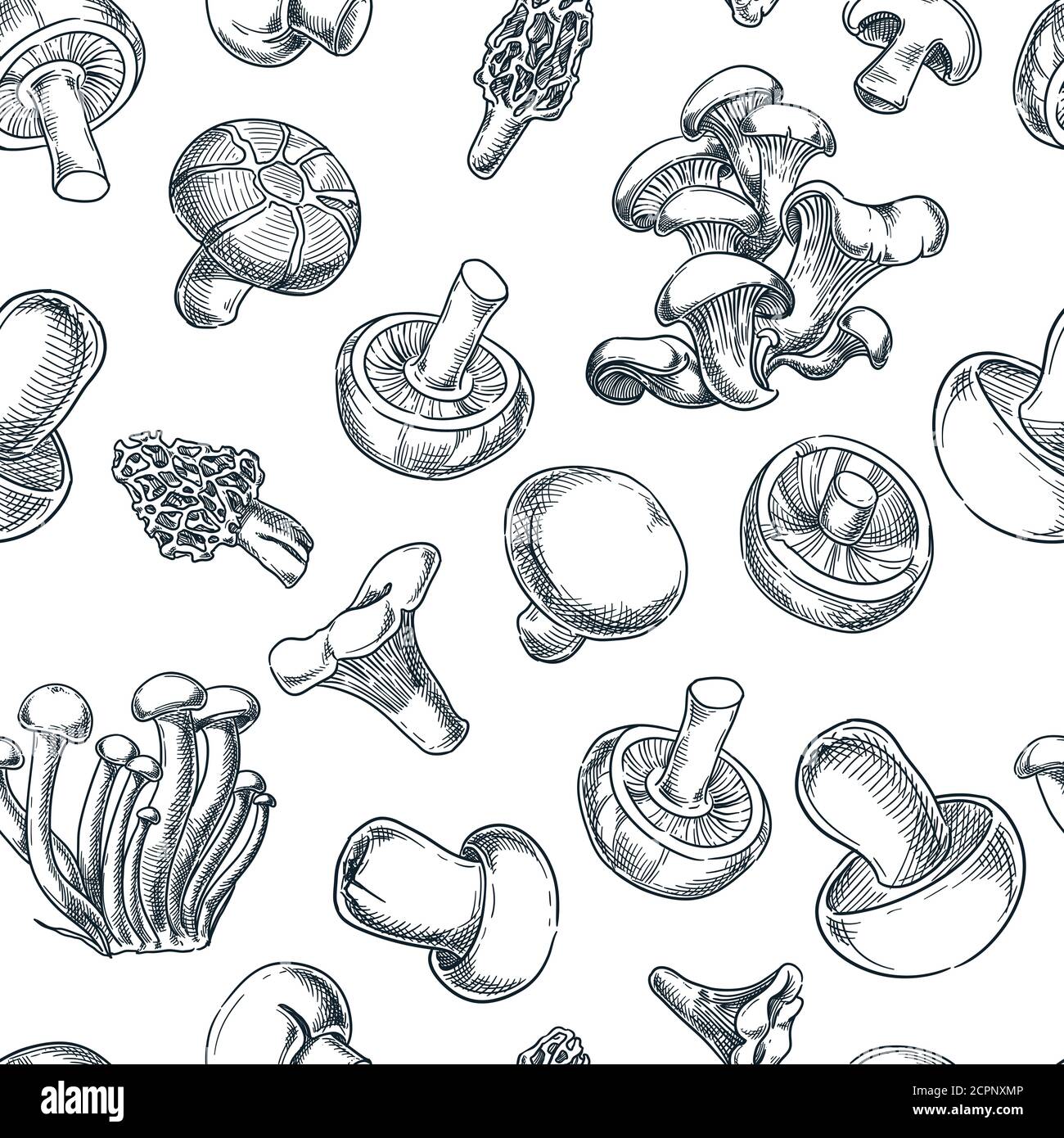 Funghi bianco nero motivo senza giunture. Illustrazione vettoriale dello schizzo. Sfondo autunnale disegnato a mano. Carta da imballaggio o stampa tessile Illustrazione Vettoriale