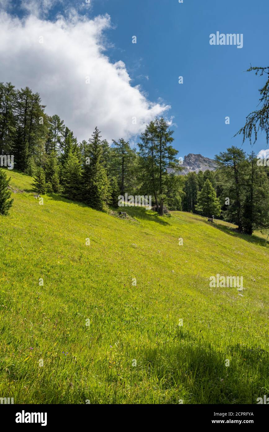 Aldein, Provincia di Bolzano, Alto Adige, Italia. Geoparc Bletterbach. L'AVVISATORE ACUSTICO BIANCO ALDEINER Foto Stock