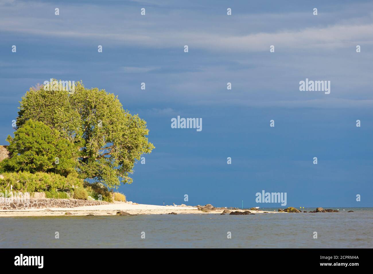 Umore serale in una tranquilla baia a Saint Vaast la Hougue, penisola del Cotentin, Normandia, Francia Foto Stock