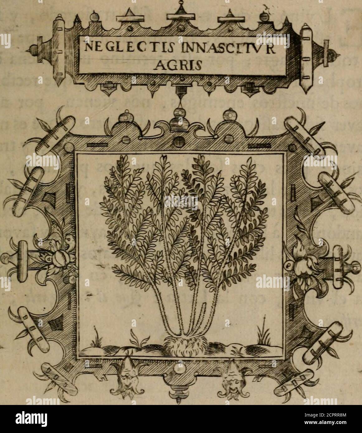 . Empresas morales . N E- 3^4 SEGUNDA PARTE, NEGLECTIS INNASCITUR AGRIS. Mucho da en que entender al buen Agricul-tor, ü la heredad, que toma entre manosha fido de dueño floxo^ y defcuydado, y que,por no cultivarla bien, ha criado mucha yerva, ymaleza^ porque le es doblado trabajo , el defmon-tarla, y-tar, a la tar, a la fuera y fembrar, lo que le ha de fer de provecho -,lo mifmo aconteche, a los que fe han defcuydado enfu vida, dexando crecerla maleza de los vicios, ymalas coftobres ^ que aunque nacieron , y feccho riaron con facilidad, cueftan mutran, arlas-caraby Foto Stock