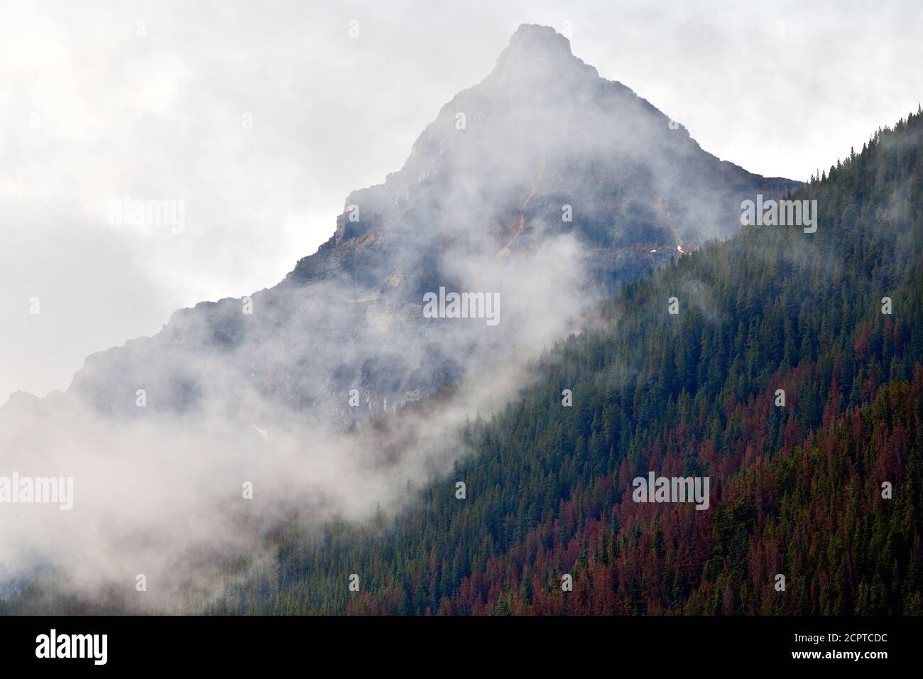 Una vetta rocciosa di montagna avvolta nella nuvola nel Jasper National Park, Alberta Canada. Foto Stock