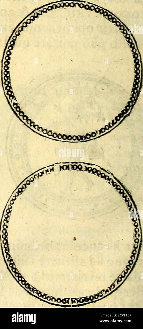 . Dialoghi di d. Antonio Agostini arcivescovo de Tarracona; sopra le medaglie, Iscrizioni, e altre antichita: . B. che interpretatone fi dà allafauola dei ratto di Proferp:na ? Plutone mi fé proferpina figuria di Cerere sotto terra, fi come il lauoratorejmette fotto terrail grano, quando lo femina . B. Perche diede V.S.àProferpinalamelagranata? A- bicono che Cerere fi lamentò con Gioue della violenza fattale da Plutonefuof ateilo in torle^er forza la fua figliuola, eche Gioue commefF;, che fuflirestituita in quel mondo, dcue Fintene non haueua alcuna autorità, pur che Q. V i N T che Foto Stock