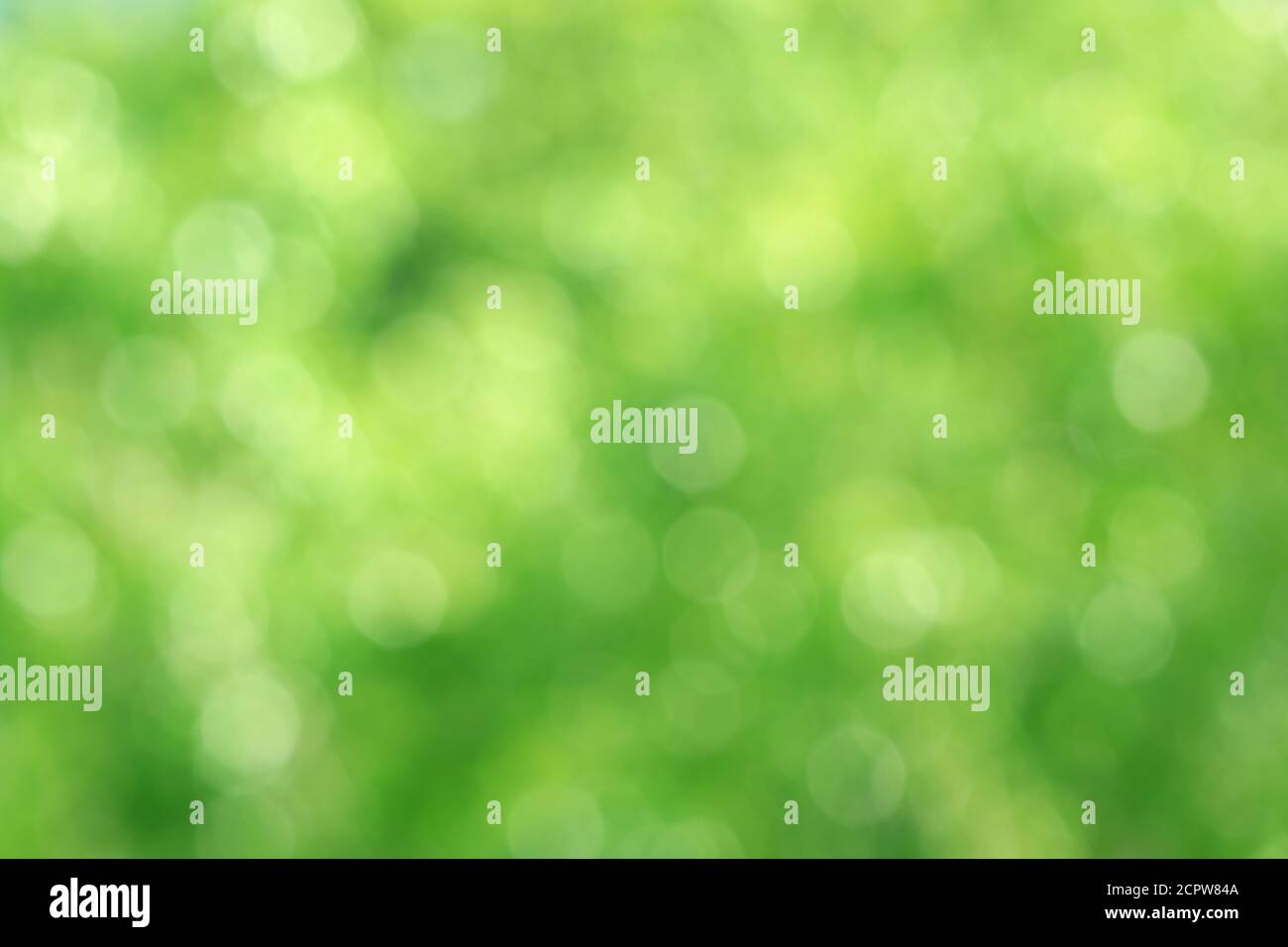 Bokeh verde astratto di verde verde sfocato fogliame alla luce del sole per sfondo Foto Stock