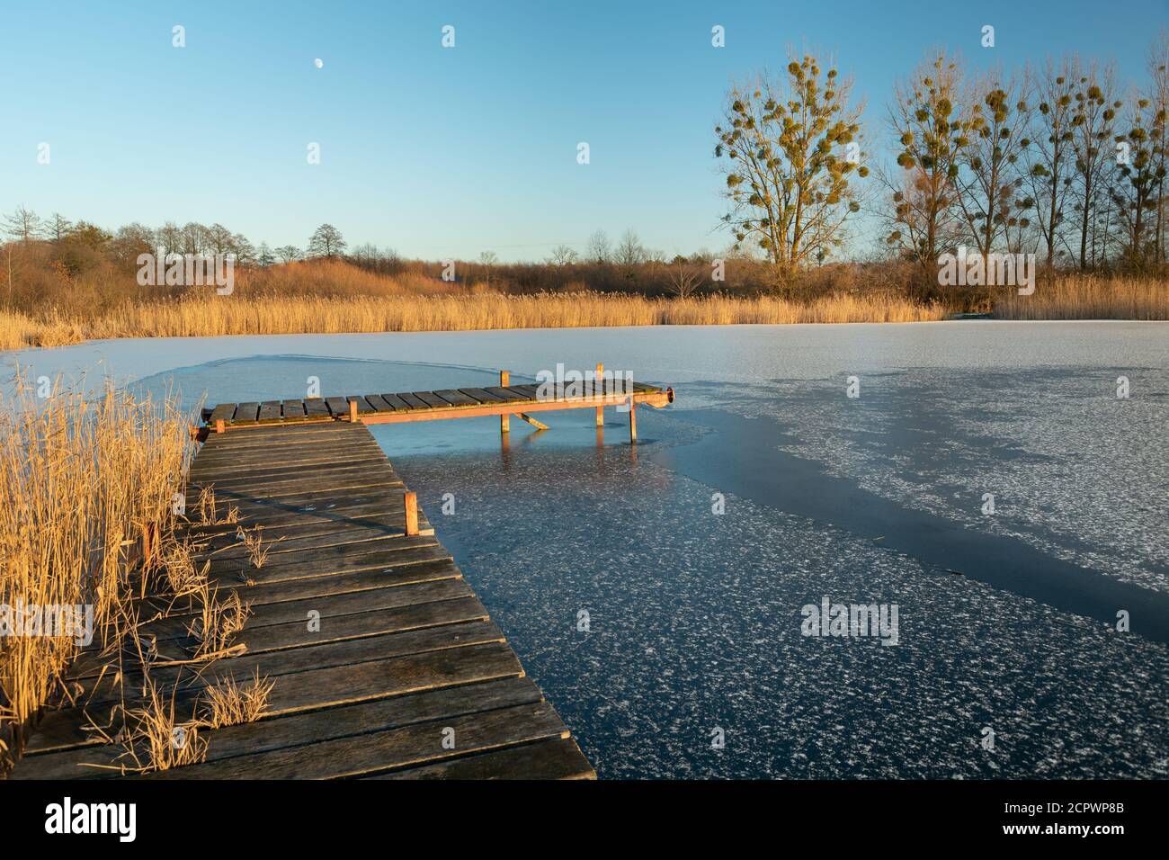 Ponte di legno sul lago ghiacciato e canne Foto Stock