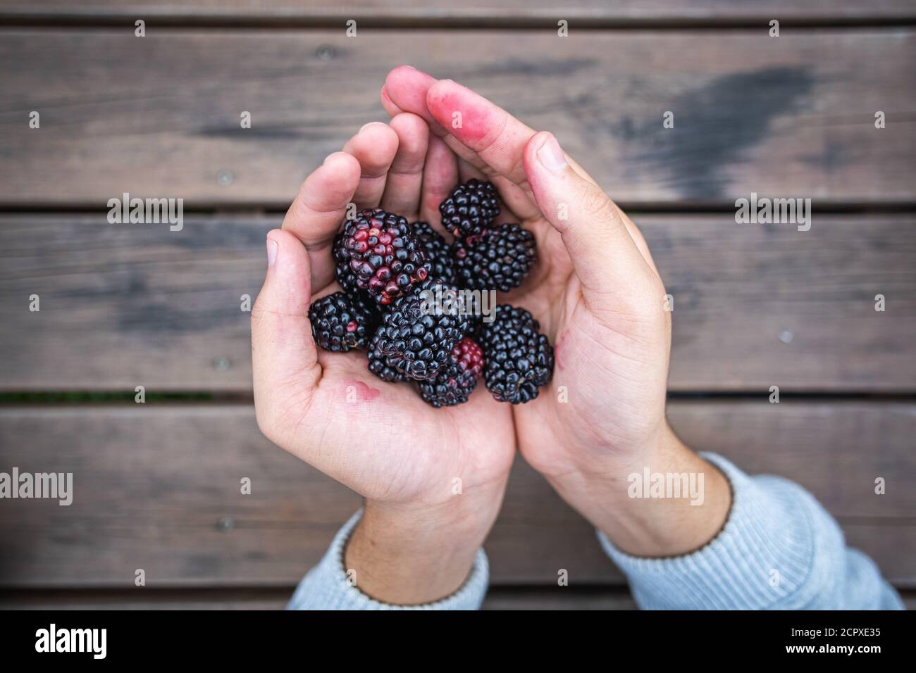 Closeup di more in una mano umana Foto Stock