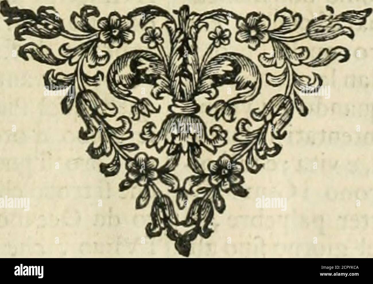 . Simboli predicabili estratti da sacri evangelici che corrono nella quadragesima . orte,lucro,e frutto tale ne traremo,che da noi lonta-ne flaranno le tignuole più perfide,e maligne,latignuola, cioè del mondo, quella del onio,e Demetra della léna, Cupirefusaduer-fus cariem tineafqueJìrmijffìma, Blattas, & ti-neas , nonsentit CupreJJìis, mortis memoria VI-tiorum blattas, qua animum corrodunt extin-gHÌtM.z vi è di piu,che da quella dotene trarre-mo in oltre il frutto dvna gloria eterna, comealtresì eifa del chiefa già del chiefa Foto Stock