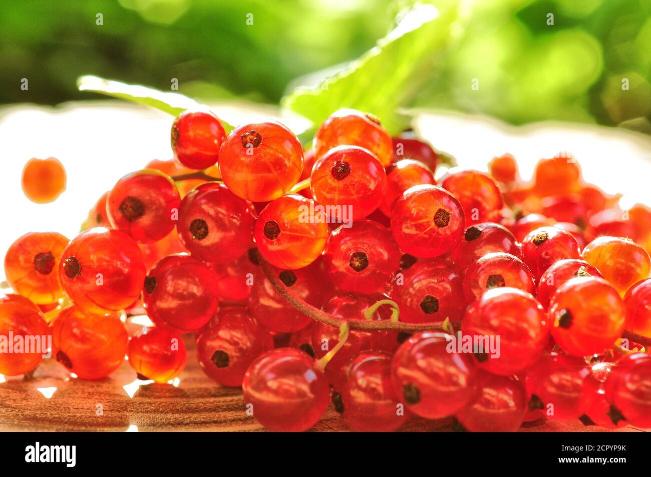 Frutta al ribes rosso alla luce estiva Foto Stock