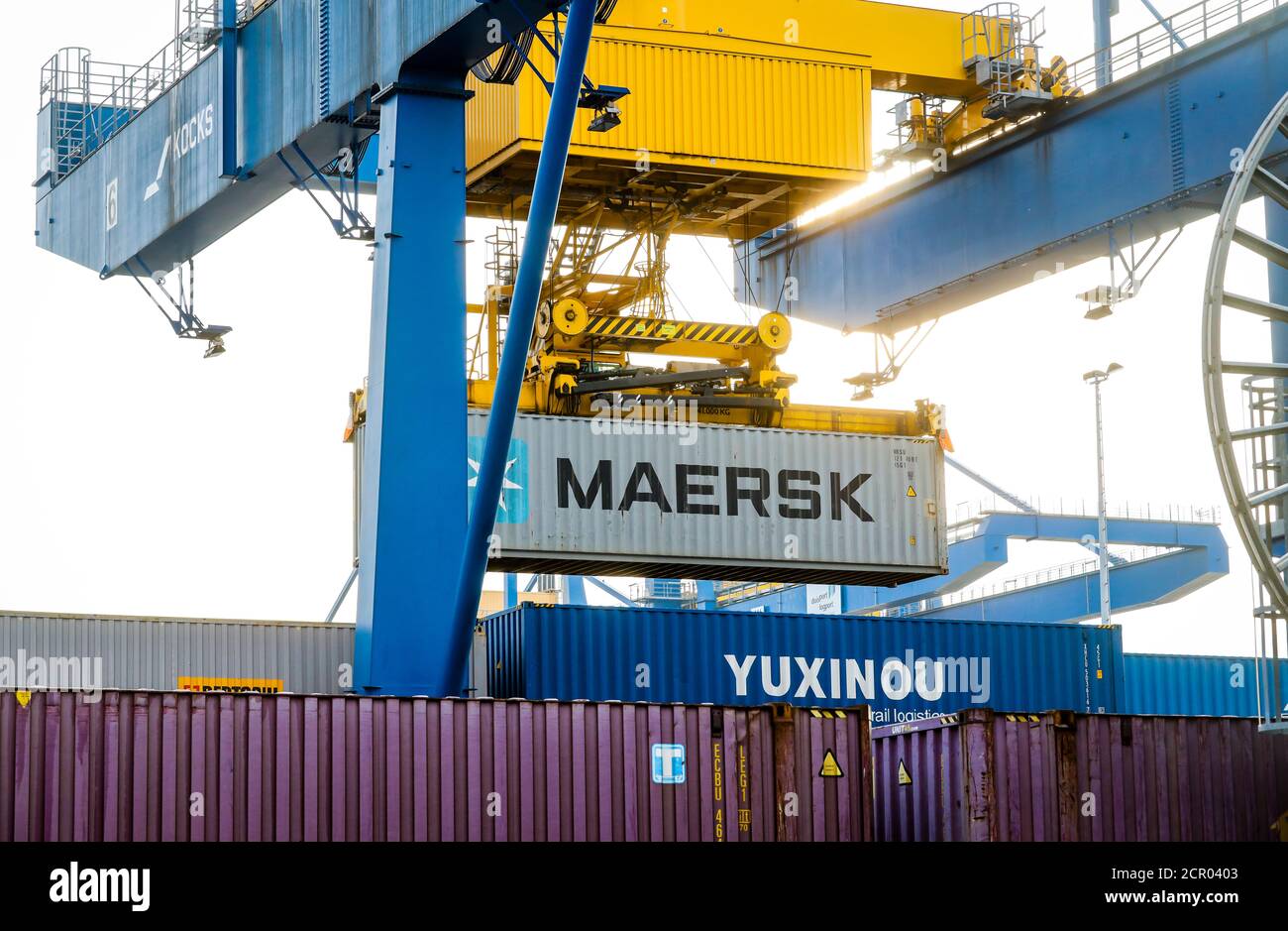 Il treno Yuxinou trasporta container tra la Cina e Duisburg, New Silk Road, terminal dei container, porto di Duisburg, Duisburg, Ruhr Foto Stock