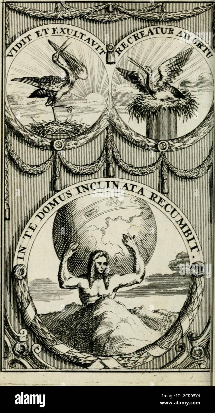 . De konincklycke triumphe : vertoonende alle de eerpoorten, met desselfs besondere sinne-beelden, en hare beschryvinge, ten getale van in de 60, opperecht in s' Gravenhage 1691 ter eere van Willem de III koningh van Groot Brittanjen . r, j.. De Konifjcklijcke Triumpht, 5^ F i G U e R IV. DE 4. Figuer vertoont ons drie andereZintiebeelden^w^vhtM^NDQ cerfte eenOijevaar op zijn neft zittende , en klep-pende op het aanbreecken van den dage-raat, en het oprijfen vandeSon, met ditbijfRECCHREFT AB. DAT è Hy verheught z, ich su den Oppgangh. Wert te kennen gegeven, hoe DAT d Foto Stock