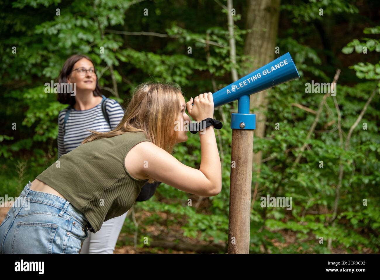 Germania, Meclemburgo-Pomerania occidentale, isola di Ruegen, Blieschow, una ragazza guarda nel bosco, senso e percorso tattile nella riserva di biosfera Southe Foto Stock
