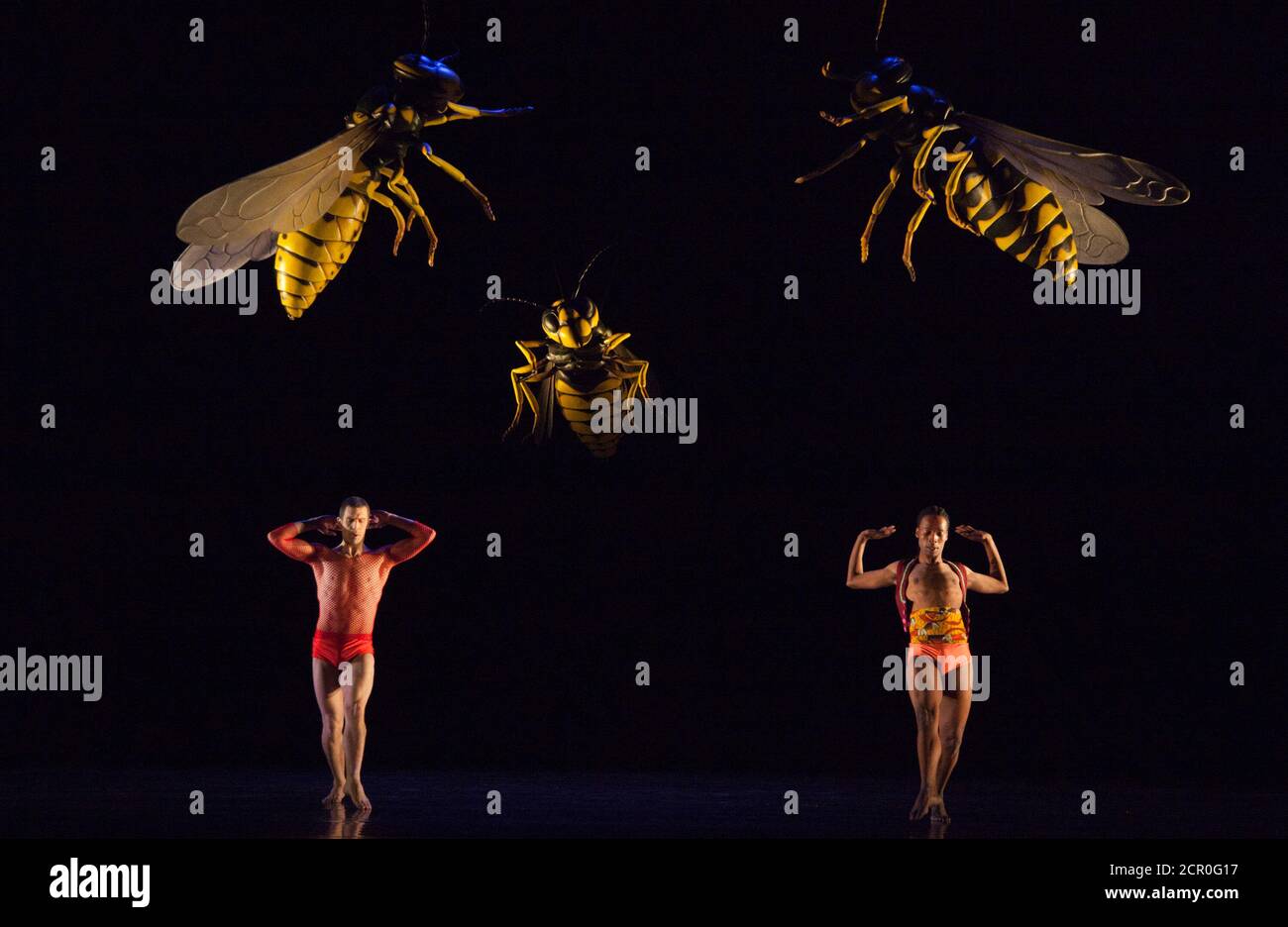 Rambert Dance Company - Londra Primavera Stagione 2012. Performance di 'What Wild Ecstasy' coreografata da Mark Baldwin, design di Michael Howells. Ballerini: Jon Savage e Mbulelo Ndabeni. Sadler's Wells Theatre, Londra. Foto Stock