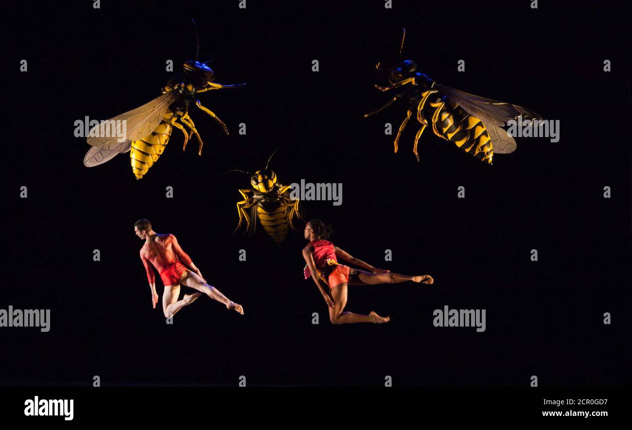 Rambert Dance Company - Londra Primavera Stagione 2012. Performance di 'What Wild Ecstasy' coreografata da Mark Baldwin, design di Michael Howells. Ballerini: Jon Savage e Mbulelo Ndabeni. Sadler's Wells Theatre, Londra. Foto Stock