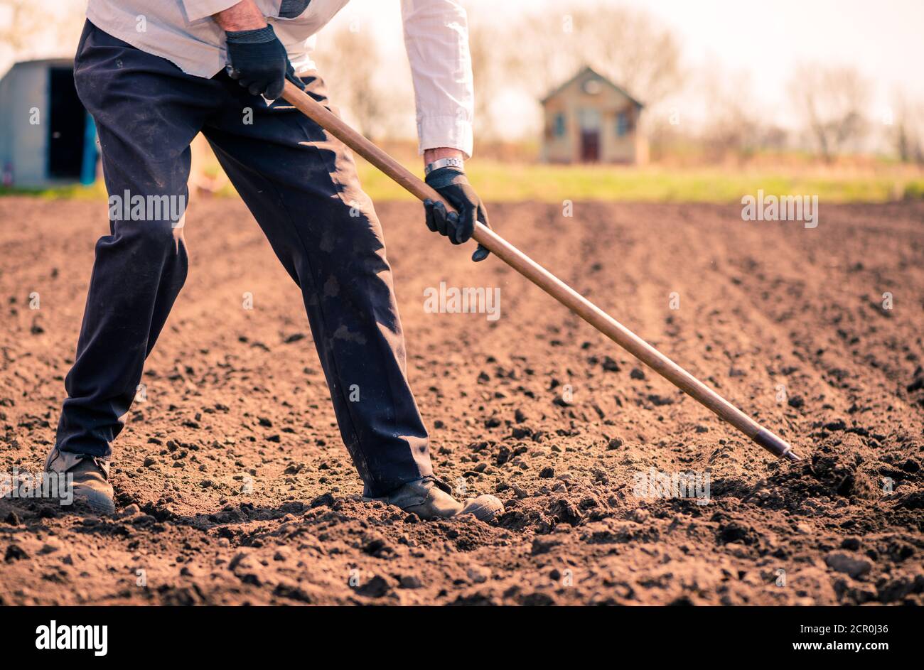 coltivatore su terreno coltivato arando per seminare Foto Stock