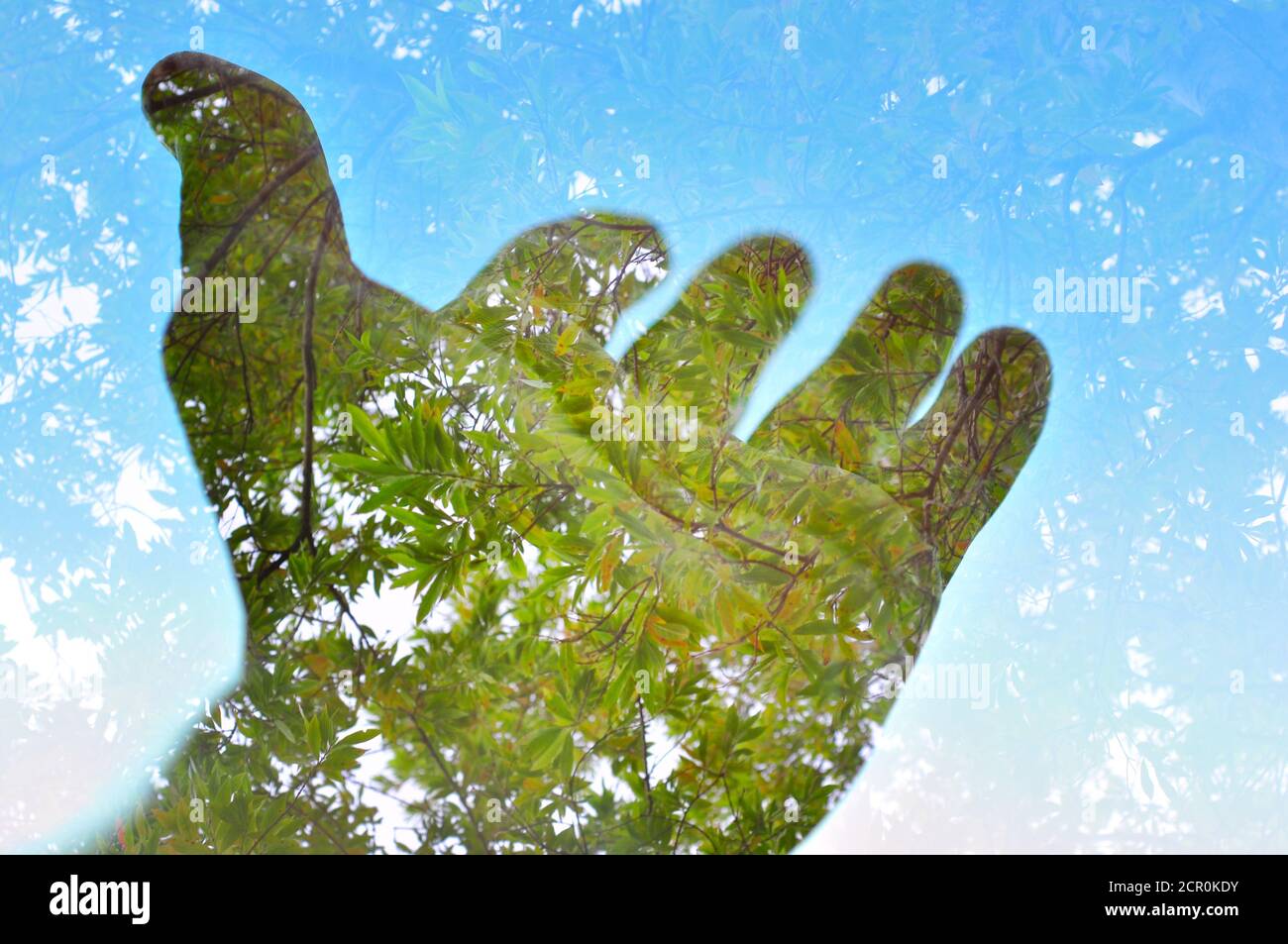 Concetto di natura, ecologia ambientale, mano e foglie verdi Foto Stock