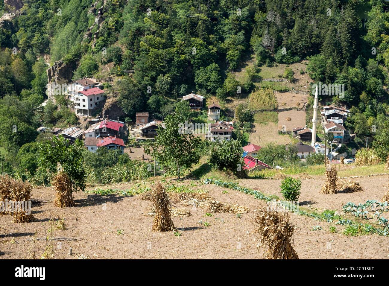 Un insediamento nel villaggio di Köknar del distretto di Çaykara provincia di trabzon Foto Stock