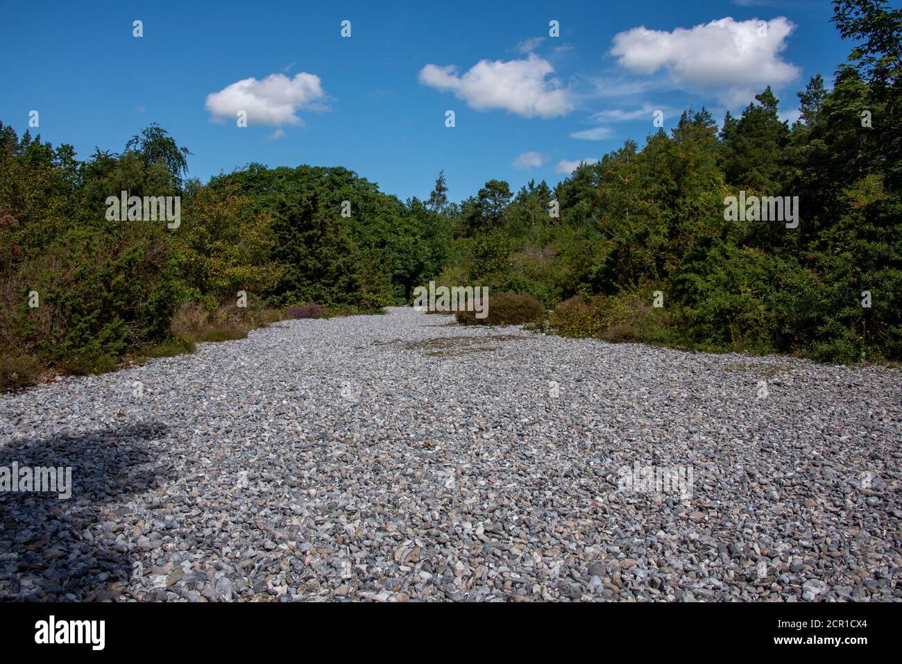 Germania, Meclemburgo-Pomerania occidentale, isola di Ruegen, campi di selce, campi di ghiaia tra Mukran e Prora, pietre di selce Foto Stock