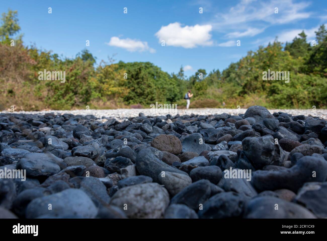 Germania, Meclemburgo-Pomerania occidentale, isola di Ruegen, campi di selce, campi di ghiaia tra Mukran e Prora, pietre di selce Foto Stock