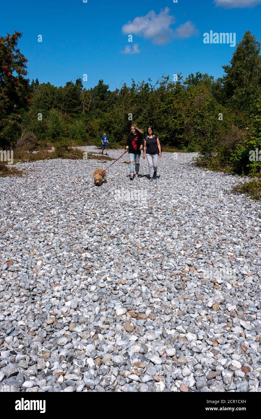 Germania, Meclemburgo-Pomerania occidentale, isola di Ruegen, turisti con cani corrono attraverso i campi di selce tra Mukran e Prora, pietre di selce, ghiaia Foto Stock