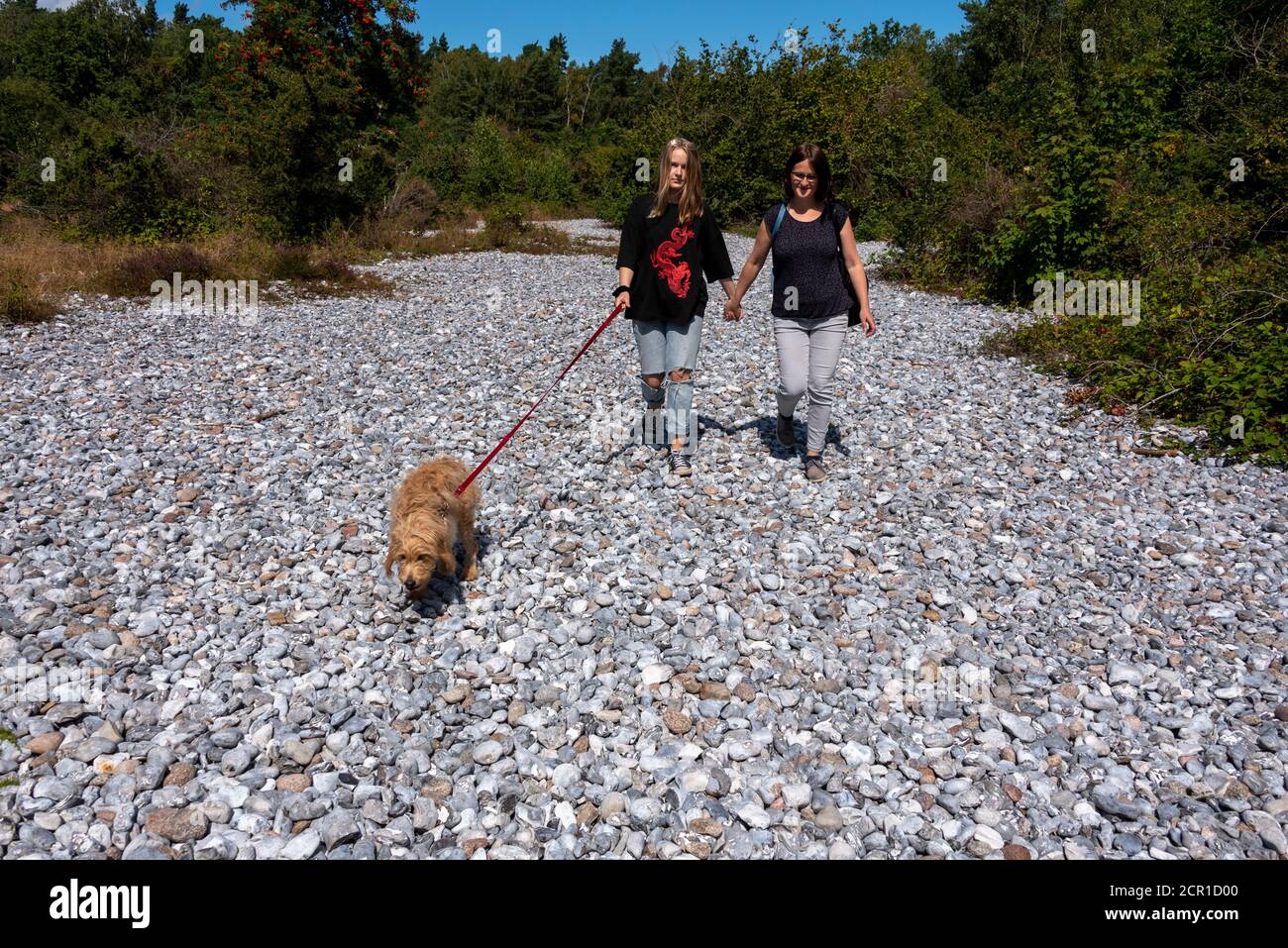 Germania, Meclemburgo-Pomerania occidentale, isola di Ruegen, turisti con cani corrono attraverso i campi di selce tra Mukran e Prora, pietre di selce, ghiaia Foto Stock