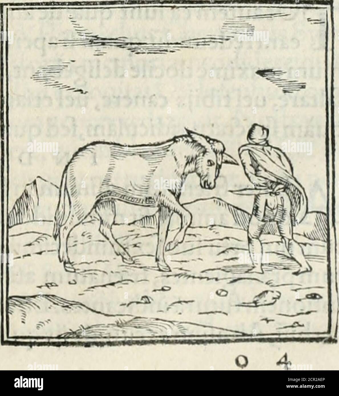 . Ibus fubrjcitur: Plcriq? Gentiliu na^tionem appellarunt,qua? Chriftum infidentem tulit, promifloccj?a profctis&leoe falute minimedefpexit:Agnouitenim afinus pracfepe Domini fui. HocporrbcitatolocoEucherius,perafellum,ait,queminfeditdominus,fimplicasc fidium exprimitur, plebs fcilicet qua? Dei notitiam non habebat,quam CHRI^ftus regendo £&gt;£ prafidendo,ad HierufaIem,hoc eft,ad pacis confpedu adducit. ASinumporrbi^Egyptrjadebimpuruexi a deo et sacris ftimabant, utanimaletiam d Foto Stock