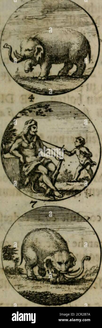 . Devises et emblemes anciennes & modernes, tirÃ©es des Plus celebres auteurs, oder, Emblematische GemÃ¼ths-VergnÃ¼gung : bey Betrachtung siben hundert und funffzehen der curieusesten und ergÃ¶tzlichen Sinn-Bildern, mit ihren zustÃ¤ndigen teutsch-lateinisch-franzÃ¶italianschen-. ¶ fcl)lecl)teÃ©.II- Â©ne^^^e!^/an Meã®c!)er ein junger S35olff fauget. Sibi damna parat. Nie travaille Ã fa ruine. N.*trifce chi la cCtfiruggerÃ . ^)Xi (icf) fc(b|Ã®en Â©C()Aden. 12. Â©n mageret ?23?eib/in Der^and einen ^tecfcn Â»on Ã¨orn^n baitenD/unDaufl)em VP)aupt mit (SCT)langen ummunDc Foto Stock