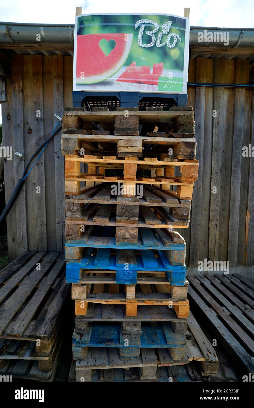 Europallets con etichetta BIO, Schmiden bei Fellbach, Baden-Württemberg, Germania Foto Stock