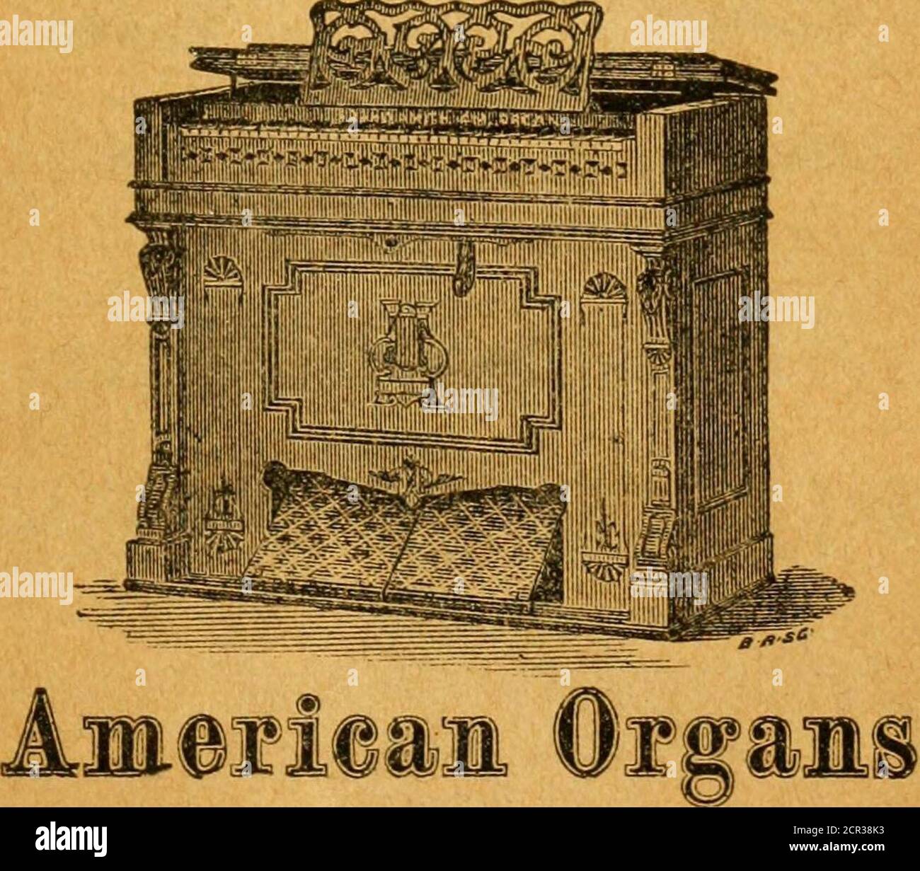 . Kentucky e Tennessee. Una guida completa alle loro ferrovie, stazioni e distanze, collegamenti nord e sud; i loro fiumi, atterraggi .. Manopola per ilot, Blurf di Greene Pine. UFFICIO POSTALE di Warren. Contea. Pine Land, Meigs Ridge, McMinn Springs, Fentress Top, Morgan Wood, Hickman Pigah, Giles Piney Flats, Sullivan Pitts X Roads, Bledsoe Pleasant, Claiborne • Exchge, Henson * Hill, Cumberland Mound, Montgy Plains, Lincoln Shade, Smith Pleasantville, Hickman Poor Ponahonton, Wileman Hill, Cumberland, Cumberland Springs, Cumberland Sullivan Poplar Spnng, Hendrso Foto Stock