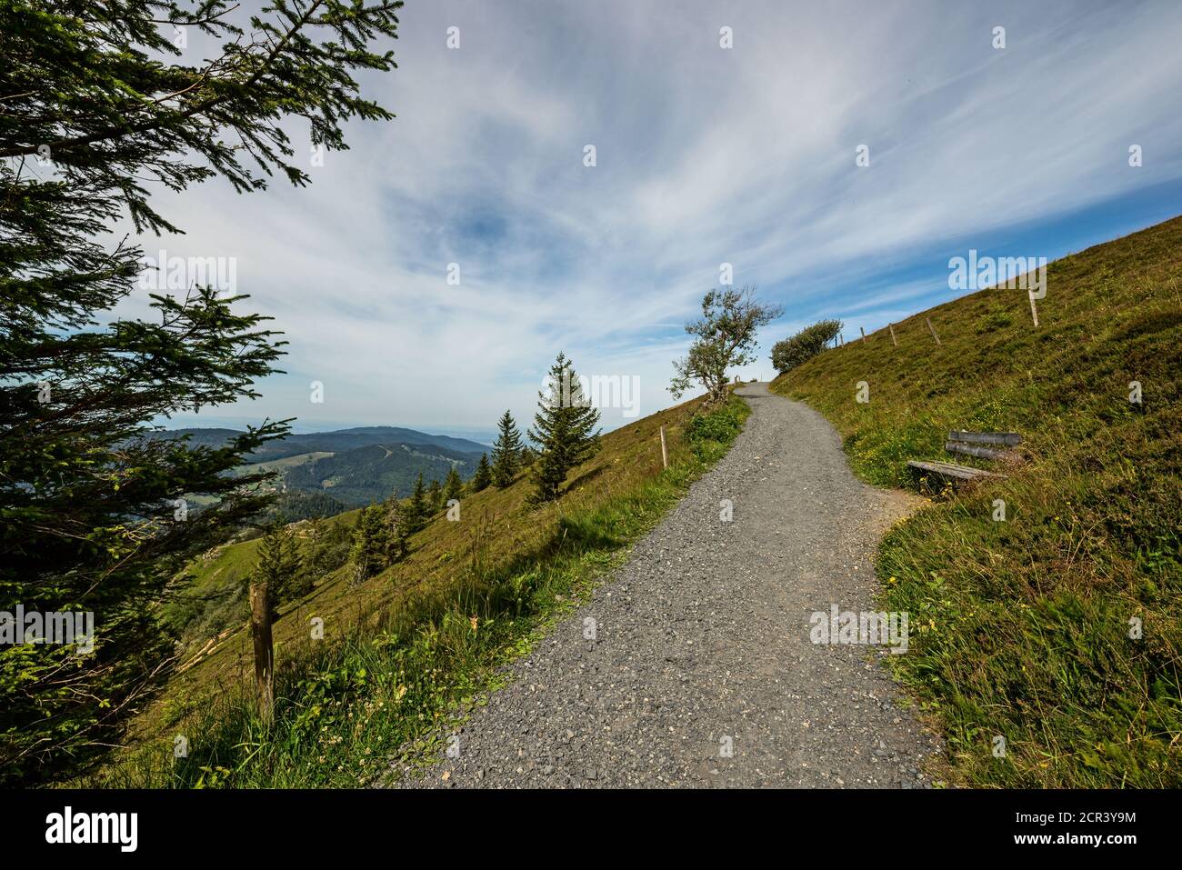 Strada per la vetta del Belchen Foto Stock