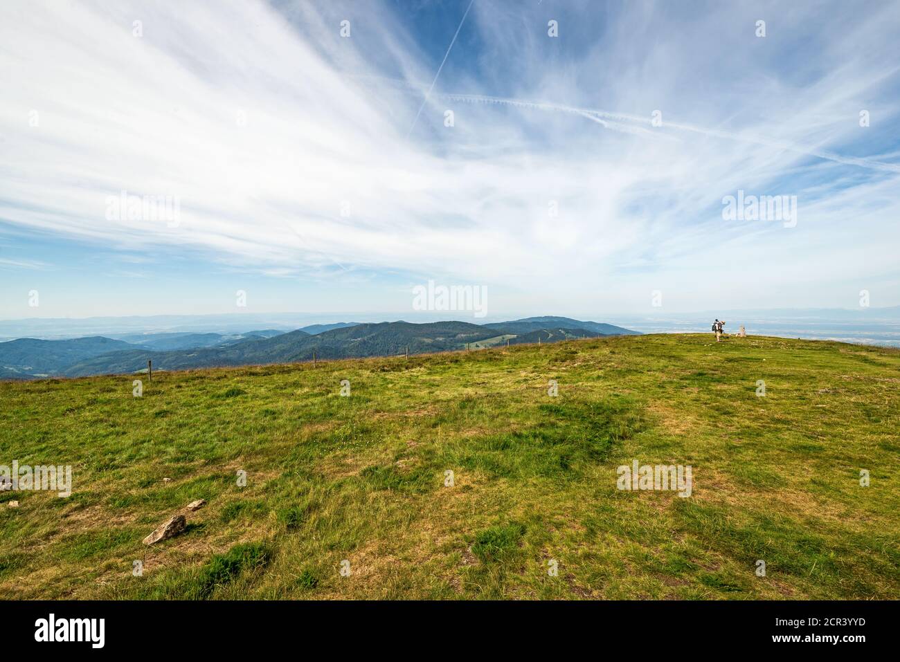 Sul vertice di Belchen Foto Stock