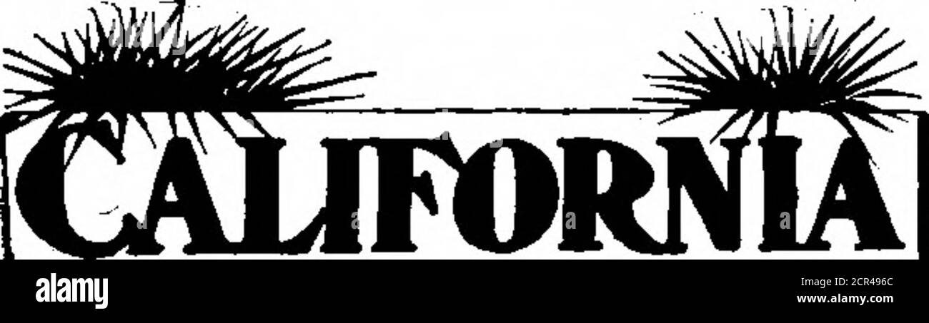 . Volume scientifico americano 87 numero 16 (ottobre 1902) . Informazioni affidabili sul giardinaggio vegetale, la coltivazione di grano, la cultura della frutta, il pollame, il clima, il suolo, l'acqua, le terre, l'energia, i mercati, le fa-cilities di fabbricazione, i salari, ecc. per la materia stampata e altre informazioni scriva IL COMITATO DI PROMOZIONE DELLA CALIFORNIA Bepreseatlng organizzazione commerciale di stato!Dipartimento. K. K. 25 New Montgomery St., SAN FRANCISCO. CALIFORNIA € PETROLIO--FONDERIA--MINIERE * ijj Dividend-Paying Mining. Oil svnd * Melleder Stock, in vendita e.nd € * Unlisted, our Specialty. W Uook!et» dando il nostro piano di successo per realizzare il grande w fa int Foto Stock