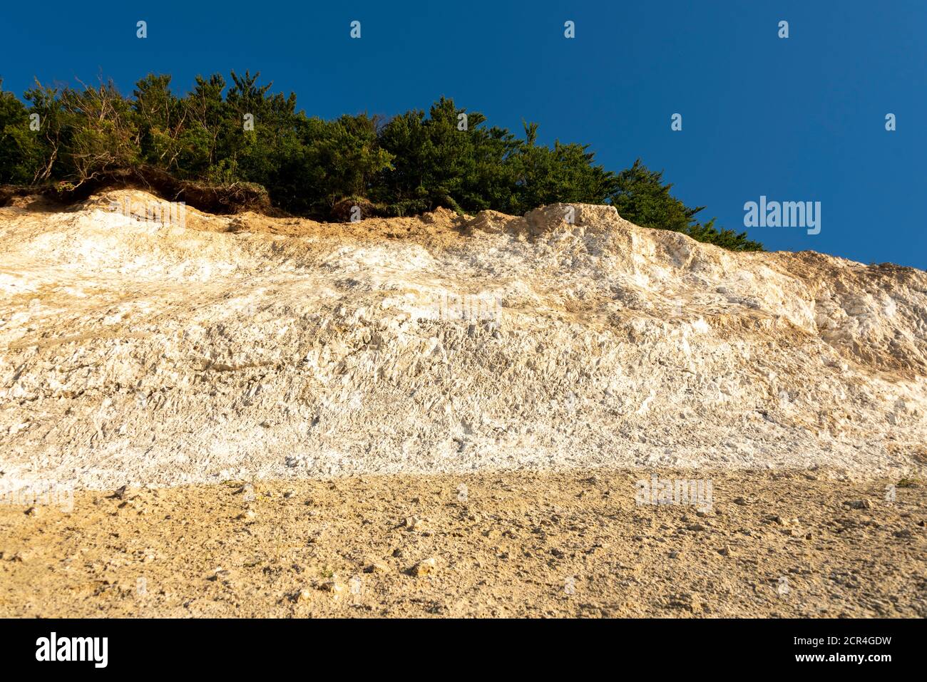 Germania, Meclemburgo-Pomerania occidentale, Sassnitz, scogliere di gesso, Wissower Klinken, alberi sul precipizio, Jasmund National Park, UNESCO World Foto Stock